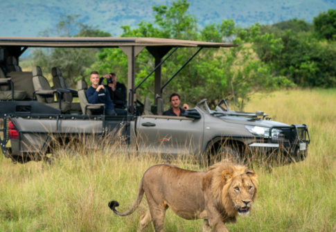 RAWANDA SAFARI TOUR 9N 10D