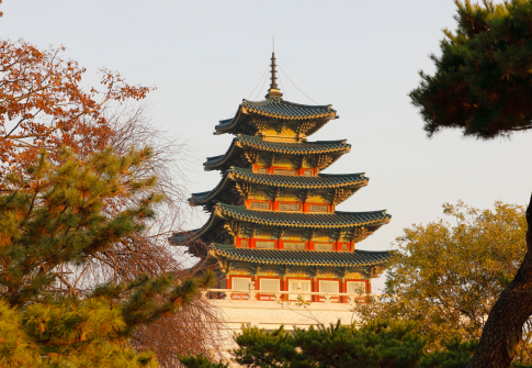 KOREA TOUR 7N 8D